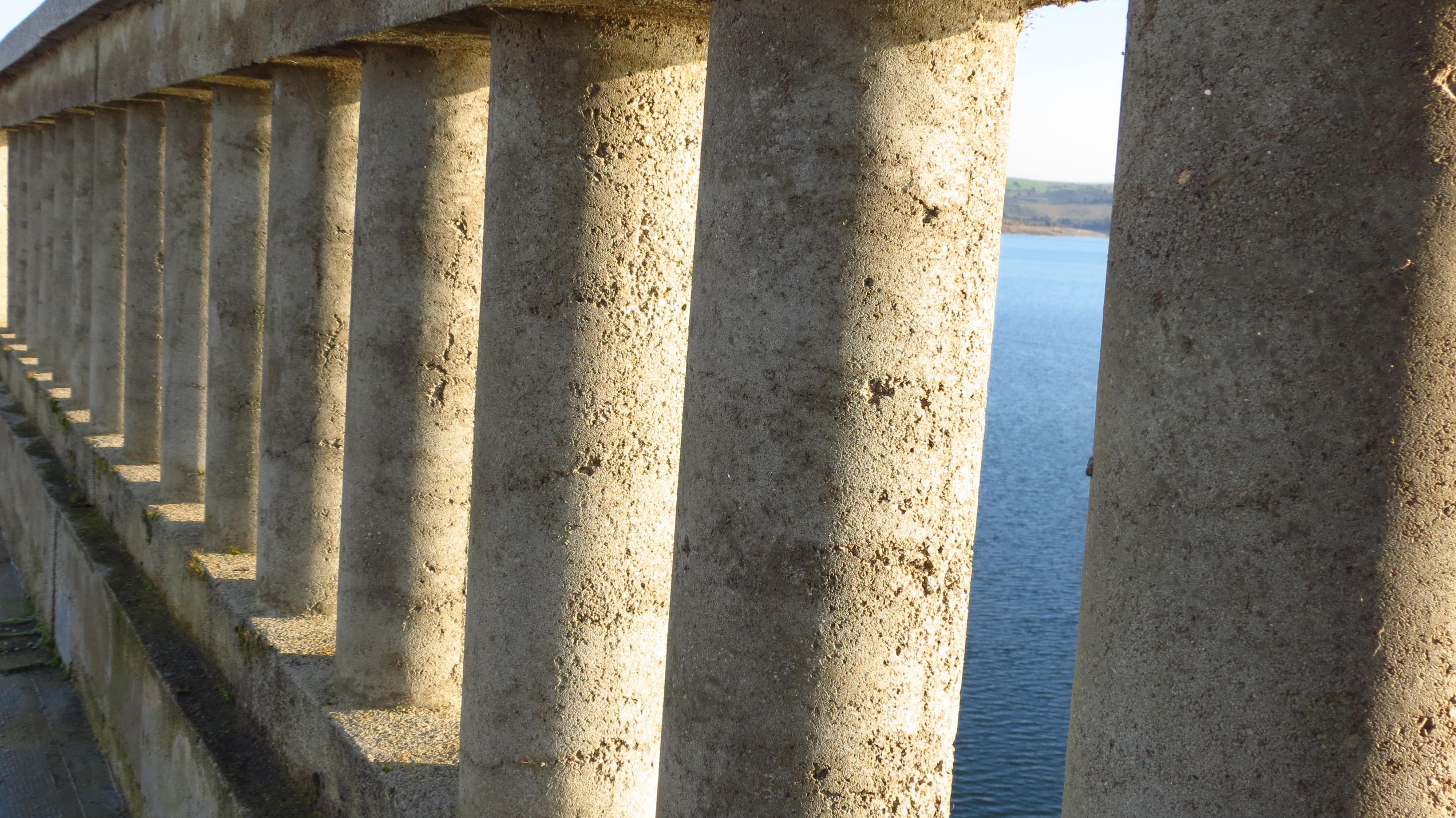 Perspectiva 5